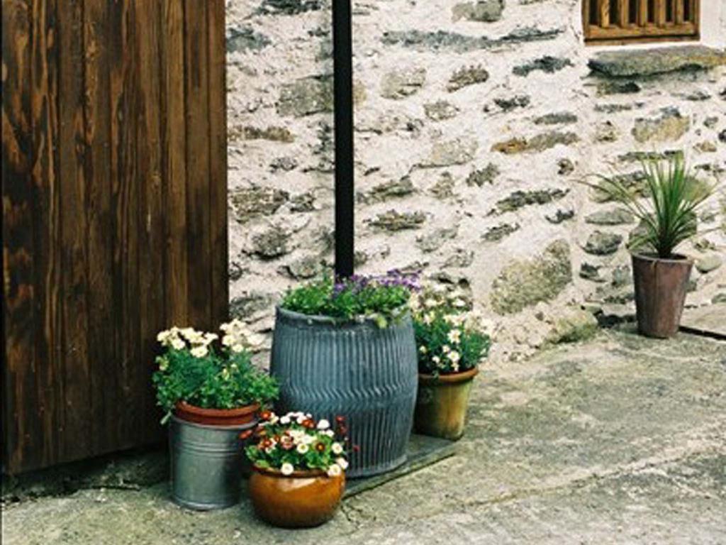 Plasglasgwm Betws-y-Coed Oda fotoğraf